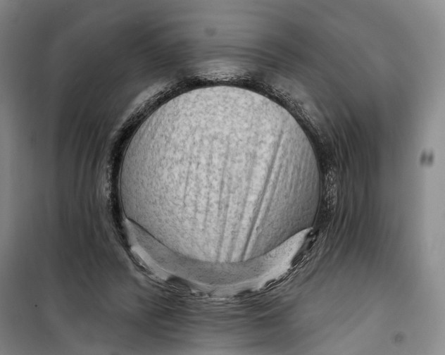 X0000099450400200805301517