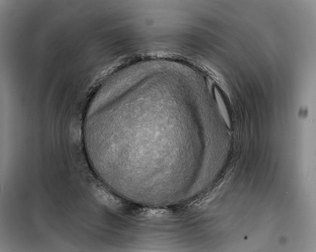 X0000099450401200805301517