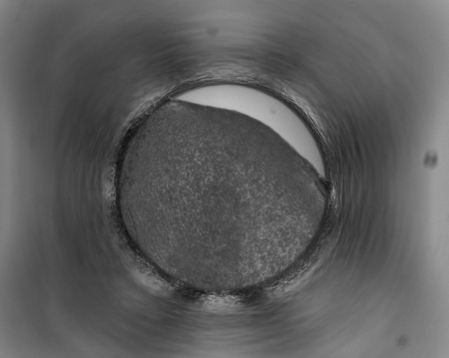 X0000099450403200805301517