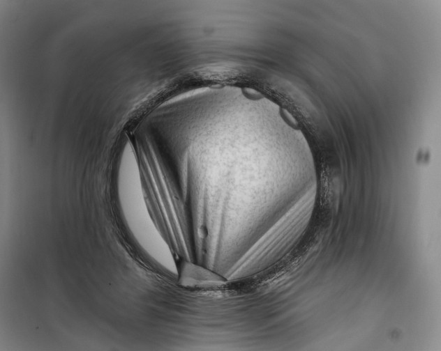 X0000099450404200805301517