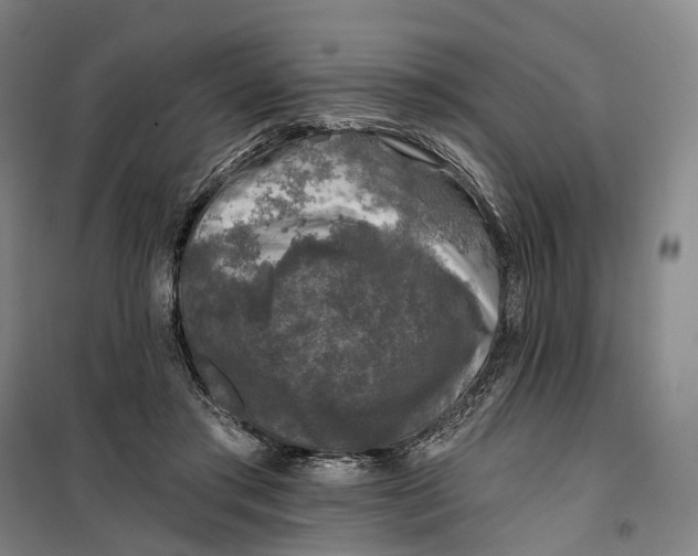 X0000099450405200805301517