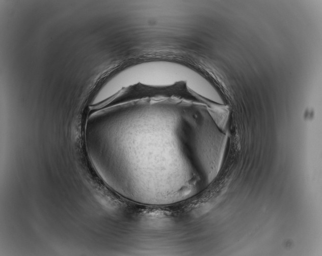 X0000099450407200805301517