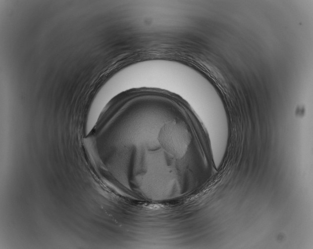 X0000099450409200805301517