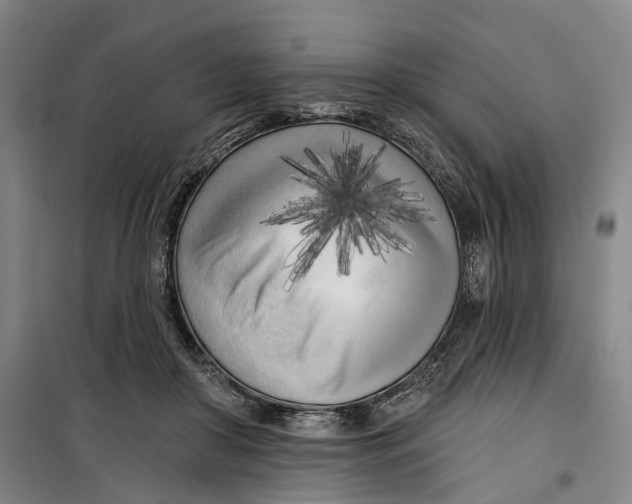 X0000099450410200805301517