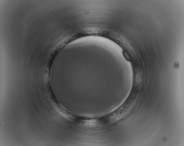 X0000099450411200805301517