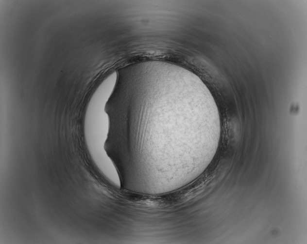 X0000099450412200805301517