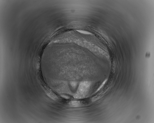 X0000099450413200805301517