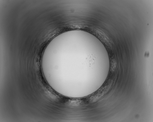 X0000099450414200805301517