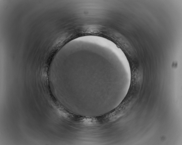 X0000099450415200805301517