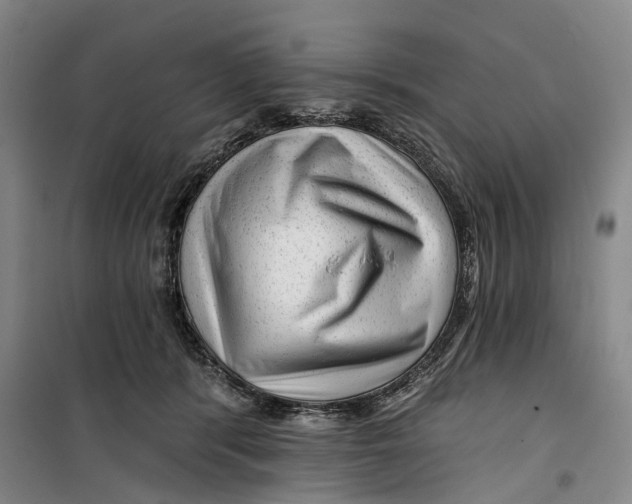 X0000099450416200805301517