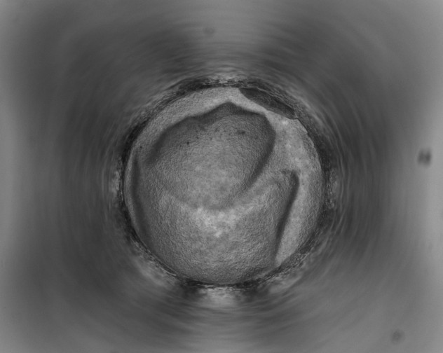 X0000099450417200805301517