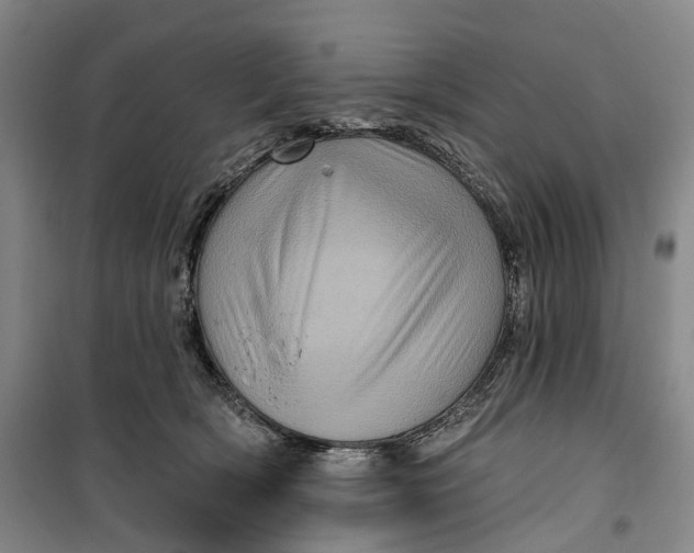 X0000099450418200805301517