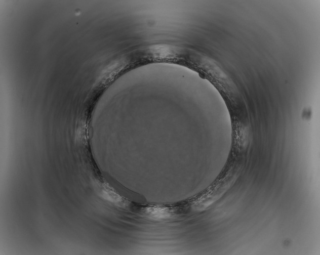 X0000099450419200805301517