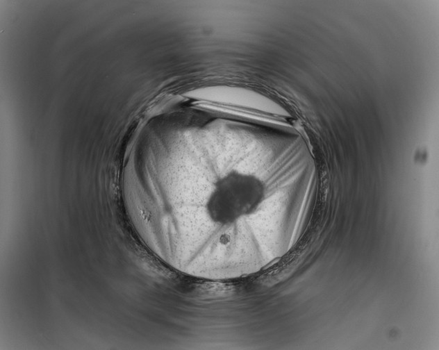 X0000099450421200805301517