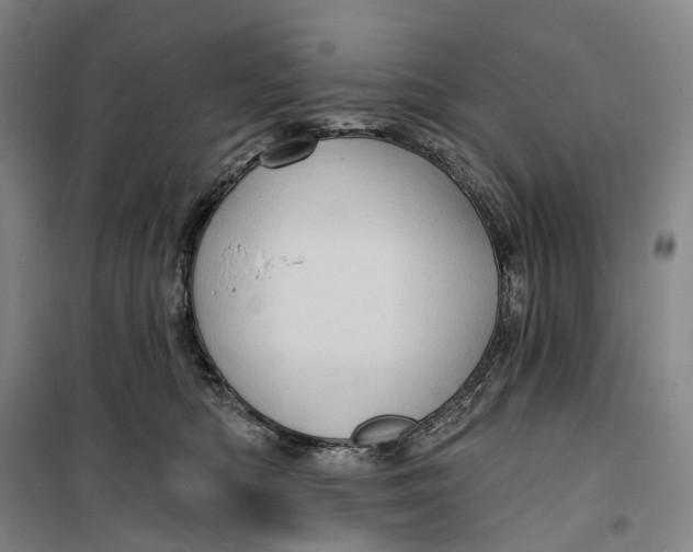 X0000099450422200805301517