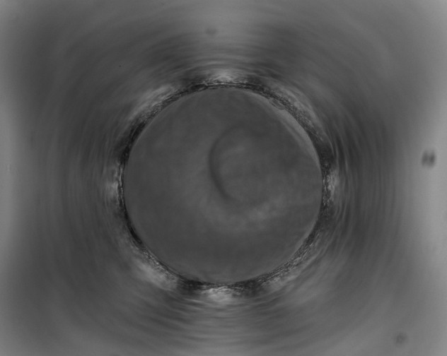 X0000099450423200805301517