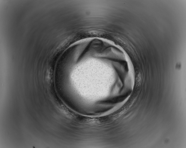 X0000099450424200805301517