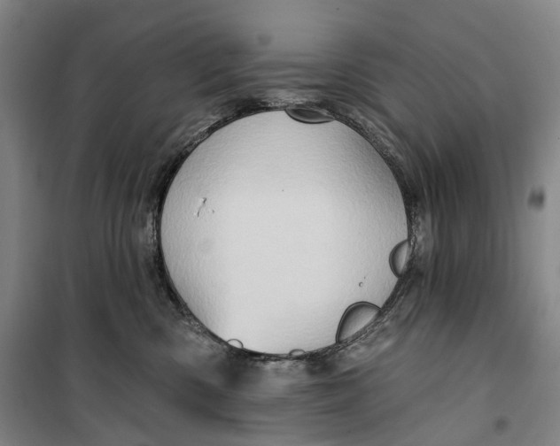 X0000099450426200805301517