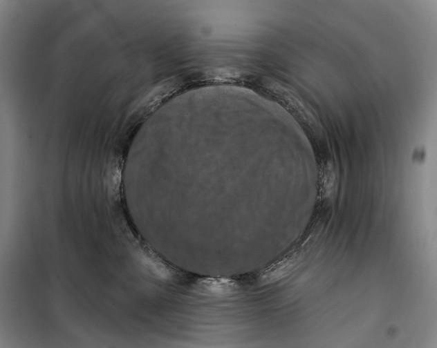 X0000099450427200805301517