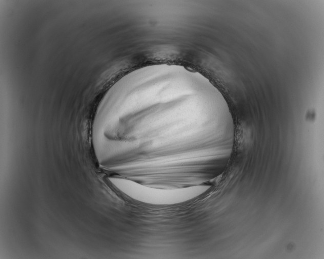 X0000099450428200805301517