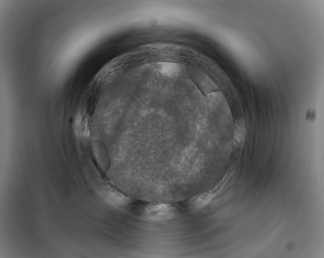 X0000099450431200805301516