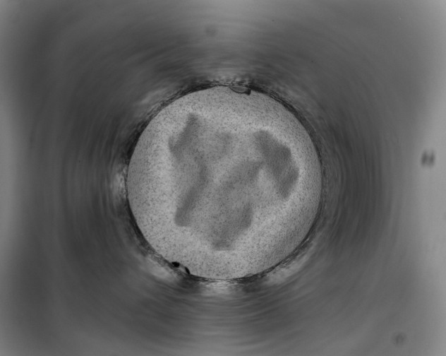 X0000099450432200805301516