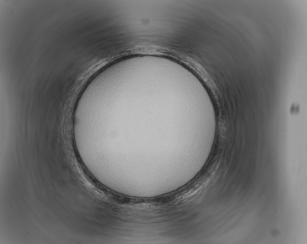 X0000099450433200805301516