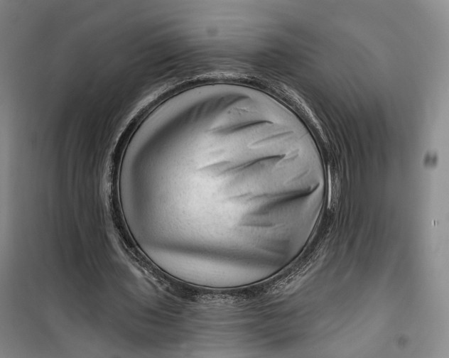 X0000099450435200805301516