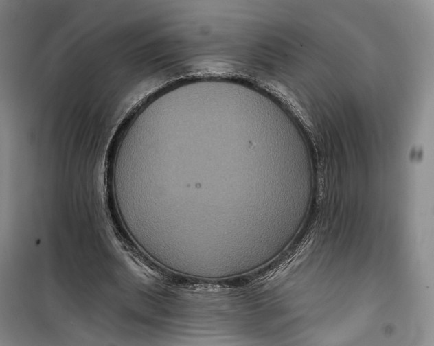 X0000099450439200805301516