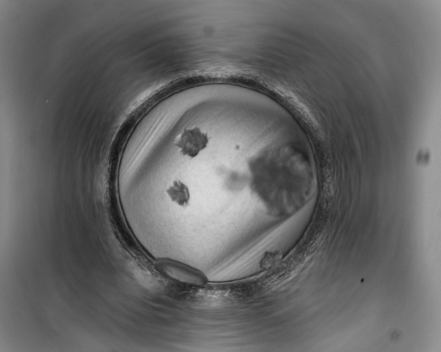 X0000099450440200805301516