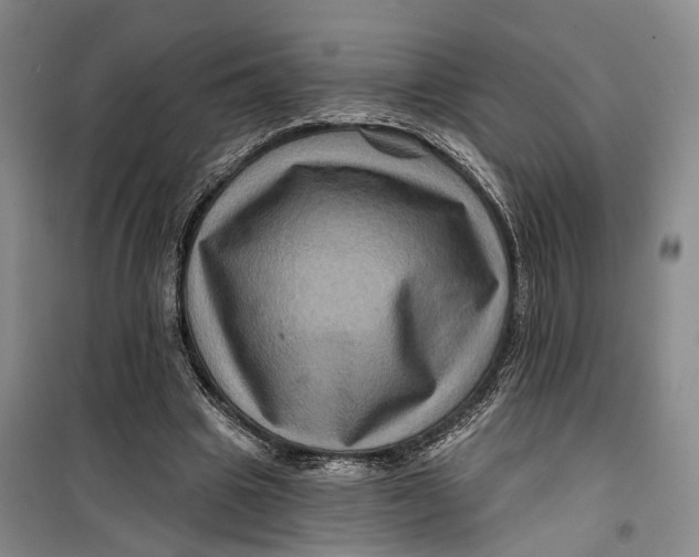 X0000099450441200805301516