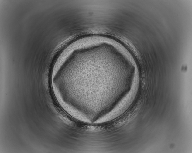 X0000099450442200805301516