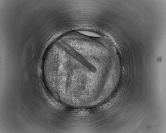 X0000099450443200805301516