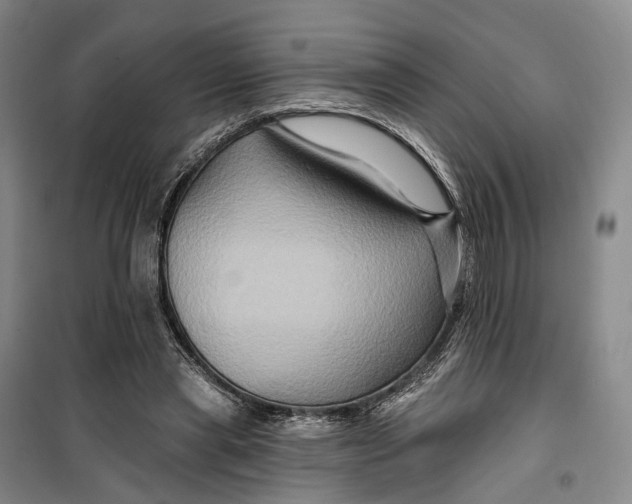 X0000099450445200805301516