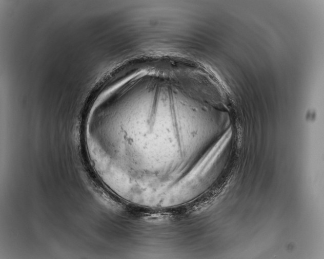 X0000099450447200805301516