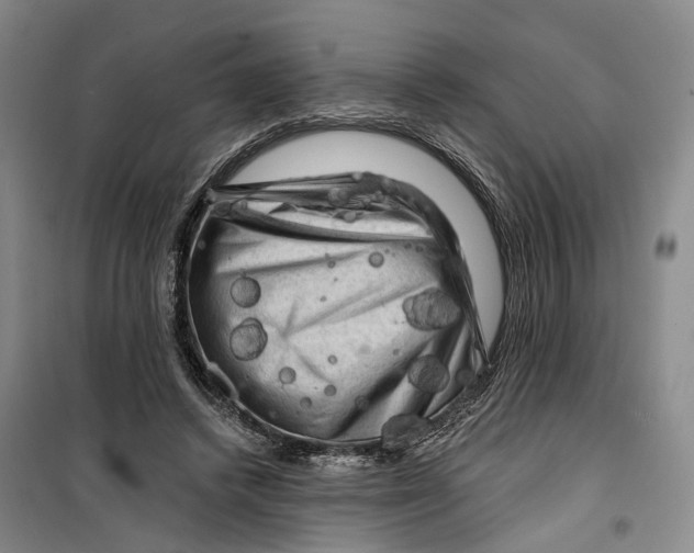 X0000099450448200805301516