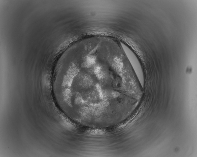 X0000099450449200805301516