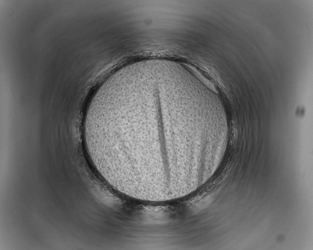 X0000099450450200805301516