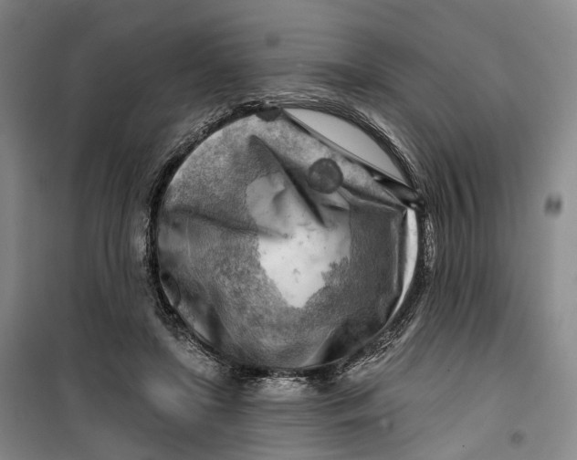 X0000099450451200805301516