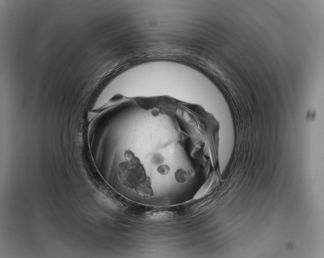 X0000099450452200805301516