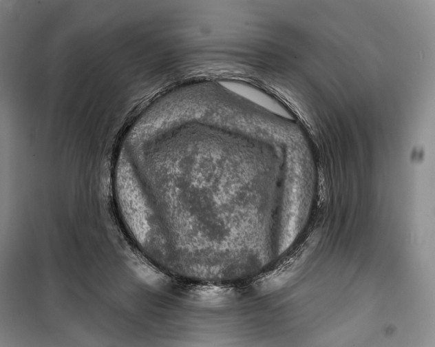 X0000099450453200805301516