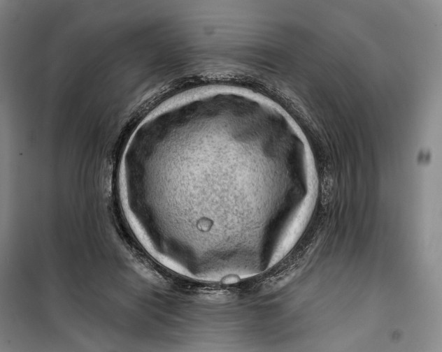 X0000099450454200805301516