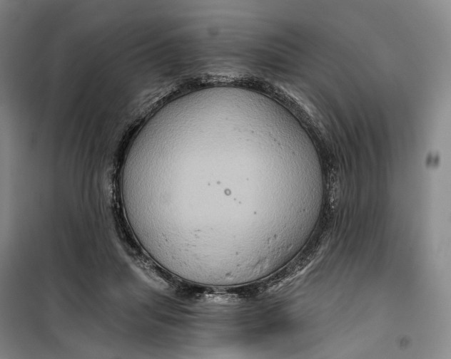 X0000099450455200805301516