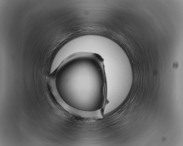 X0000099450456200805301516