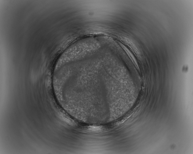 X0000099450457200805301516