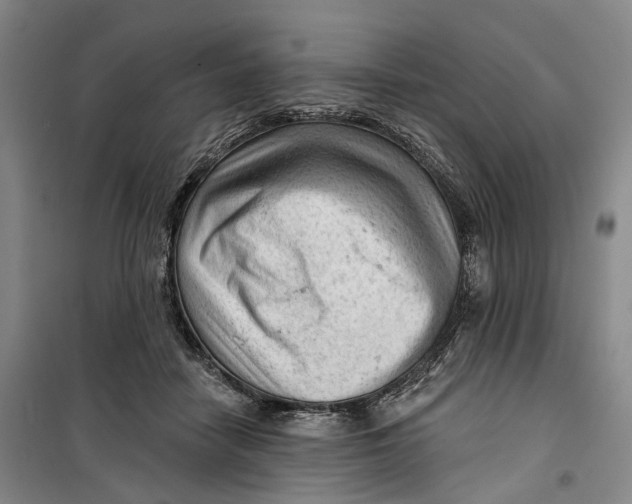 X0000099450458200805301516