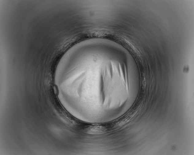 X0000099450459200805301516