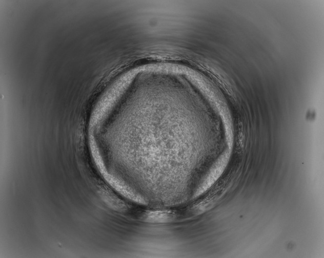 X0000099450461200805301516