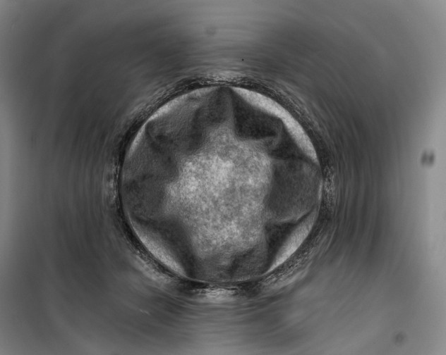 X0000099450462200805301516