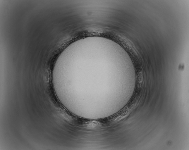 X0000099450463200805301516